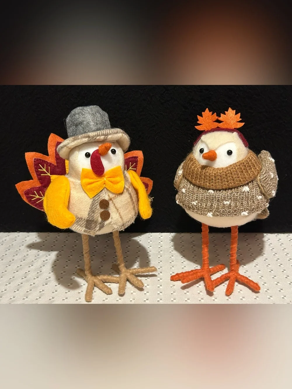 Target Hyde Eek Birds Fall Thanksgiving Featherly Friends Set of 2